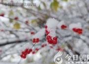 是你，溫暖了我的那個(gè)冬天（陳雷）