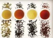 長(zhǎng)知識(shí)！我國600多種茶及特點(diǎn) 值得你了解