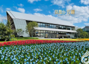 【春季網(wǎng)絡(luò)購房節(jié)】鳳凰山·云麓項(xiàng)目介紹