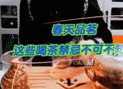 春天品茗｜這些喝茶禁忌不可不知！