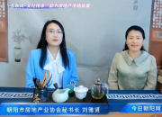 朝陽市2024年秋季網絡購房節(jié)優(yōu)惠政策解讀②