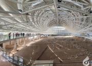 朝陽新媒體人：在雄壯的迎春序曲中開啟充滿光榮和夢想的新征程！（二）