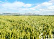 朝陽新媒體人：在雄壯的迎春序曲中開啟充滿光榮和夢想的新征程?。ㄎ澹?></a>
            <div   id=