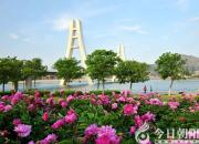 朝陽新媒體人：在雄壯的迎春序曲中開啟充滿光榮和夢(mèng)想的新征程?。ò耍?></a>
            <div   id=