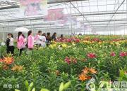 朝陽新媒體人：在雄壯的迎春序曲中開啟充滿光榮和夢(mèng)想的新征程！（九）