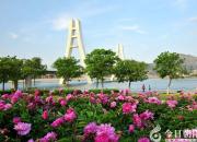 朝陽新媒體人：在雄壯的迎春序曲中開啟充滿光榮和夢(mèng)想的新征程?。ㄊ?></a>
            <div   id=