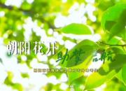 朝陽(yáng)花開·助夢(mèng)啟航”歡迎遼寧廣大專升本考生來(lái)到朝陽(yáng)