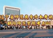 夢(mèng)想如炬，照亮前程，升本路上，你我同行