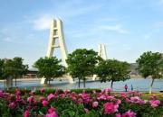 花開朝陽(yáng)香溢遠(yuǎn)——遼寧朝陽(yáng)以溫情助力7000學(xué)子追逐夢(mèng)想