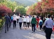 以腳步丈量山川 用團結(jié)鑄就不凡—朝陽市中心醫(yī)院鳳凰山登山活動圓滿落幕