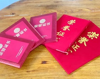 惟有青蒲映朝陽——朝陽市龍城區(qū)召都巴鎮(zhèn)厚杖子村宋玉梅家庭無償獻(xiàn)血紀(jì)實(shí)