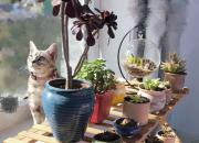 望你（韓輝升）