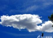 望云（韓輝升）