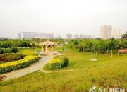 碎夢記（韓輝升）