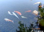 思想河（三十首）（二）（韓輝升）