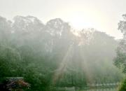 思想河（三十首）（十五）（韓輝升）