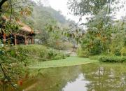 思想河（三十首）（二十七）（韓輝升）