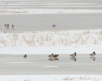 立冬（韓輝升）