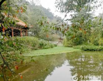 思想河（三十首）（二十七）（韓輝升）