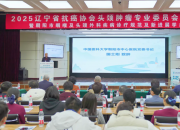 朝陽搭臺引智 共話頭頸腫瘤診療新篇——2025年遼寧省抗癌協(xié)會頭頸腫瘤學(xué)術(shù)年會暨咽喉及頭頸外科疾病診療規(guī)范及新進(jìn)